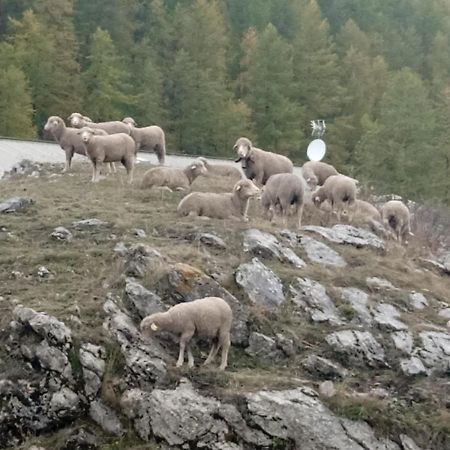 Residences De Melisa La Foux D'Алос Екстериор снимка